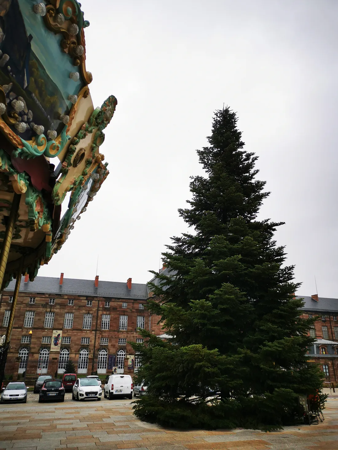 Le sapin de Saverne trône devant le château des Rohan